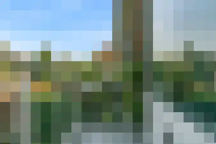 Hoge Morsweg 91 Leiden thumbnail 28