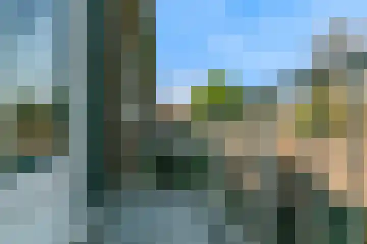Hoge Morsweg 91 Leiden thumbnail 29
