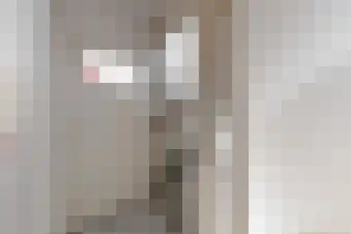 Hoge Morsweg 91 Leiden thumbnail 31