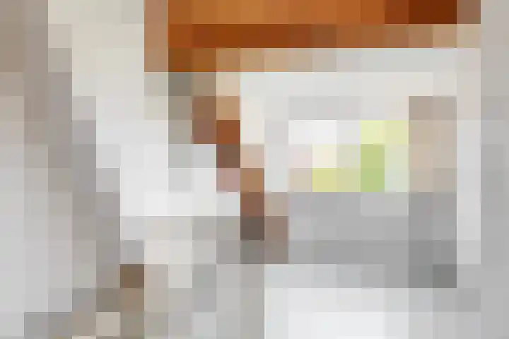 Hoge Morsweg 91 Leiden thumbnail 33