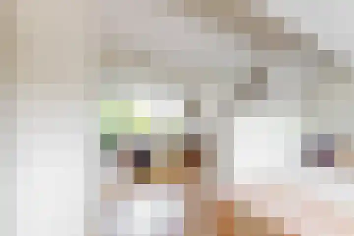 Hoge Morsweg 91 Leiden thumbnail 34