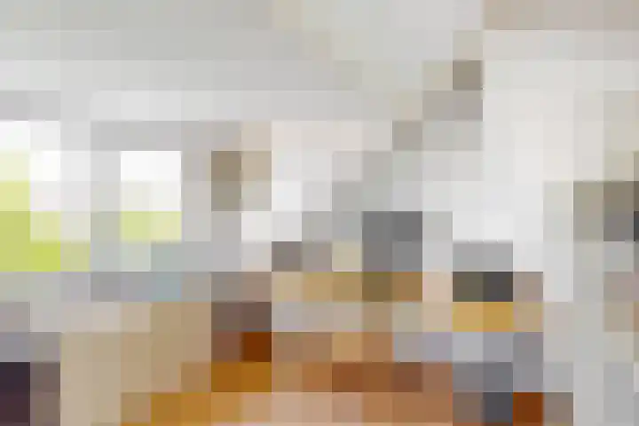 Hoge Morsweg 91 Leiden thumbnail 36