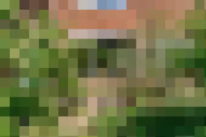 Hoge Morsweg 91 Leiden thumbnail 38