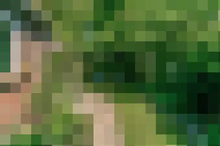 Hoge Morsweg 91 Leiden thumbnail 39