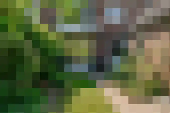 Hoge Morsweg 91 Leiden thumbnail 42