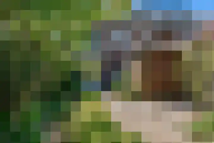 Hoge Morsweg 91 Leiden thumbnail 43