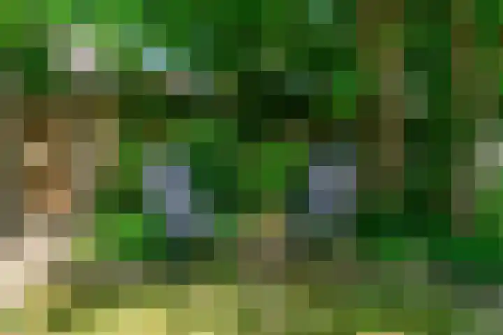 Hoge Morsweg 91 Leiden thumbnail 45