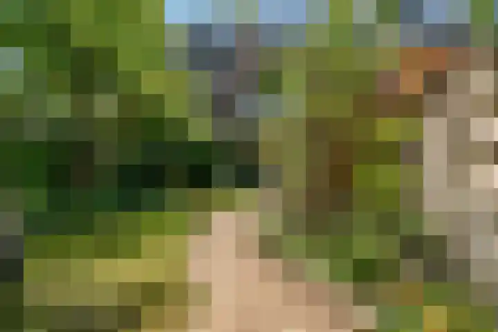Hoge Morsweg 91 Leiden thumbnail 46