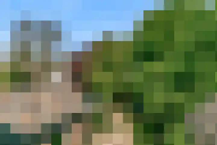 Hoge Morsweg 91 Leiden thumbnail 47
