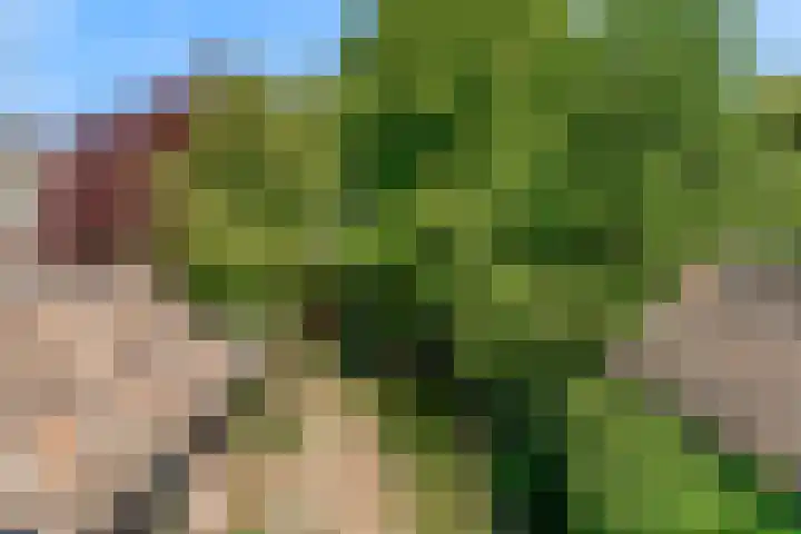 Hoge Morsweg 91 Leiden thumbnail 48