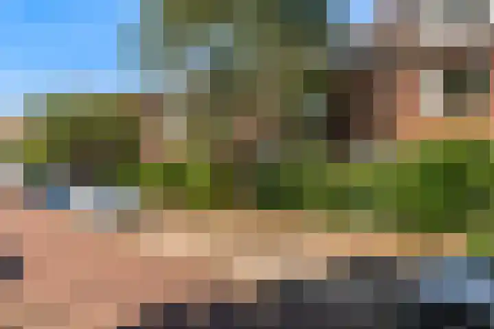 Hoge Morsweg 91 Leiden thumbnail 50