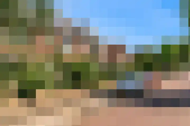 Hoge Morsweg 91 Leiden thumbnail 51