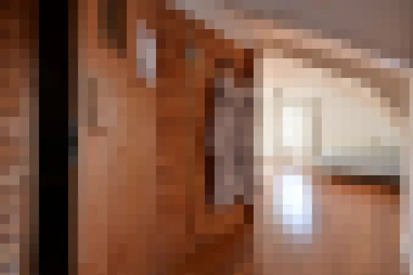 Hoge Naarderweg 20 Hilversum thumbnail 21