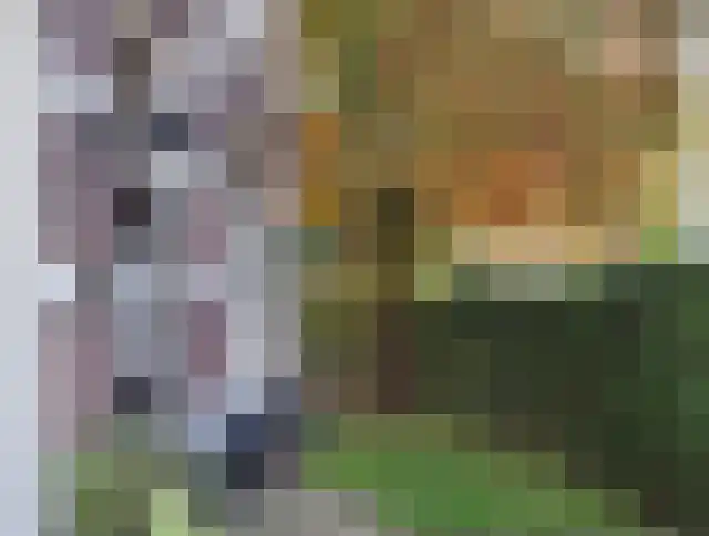 Hoge Naarderweg 20 Hilversum thumbnail 4
