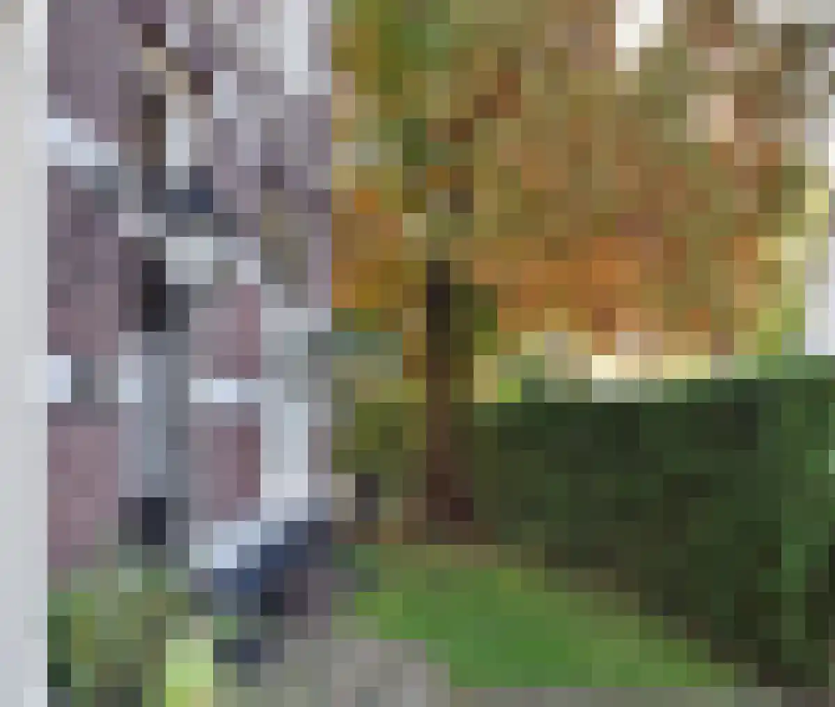 Hoge Naarderweg 20 Hilversum thumbnail 5