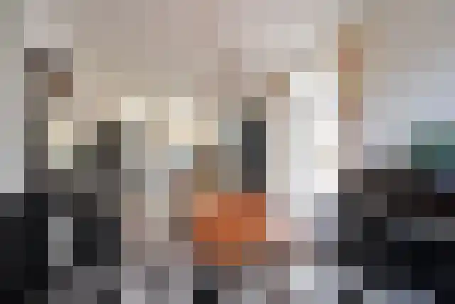Hoge Naarderweg 20 Hilversum thumbnail 8
