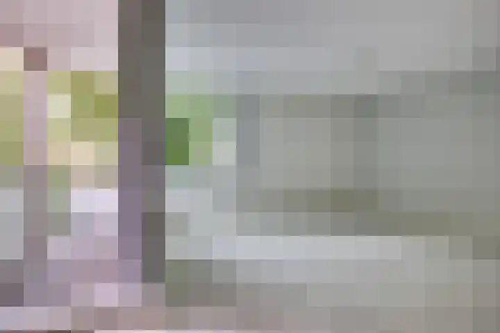 Hoge Naarderweg 51 Hilversum thumbnail 10