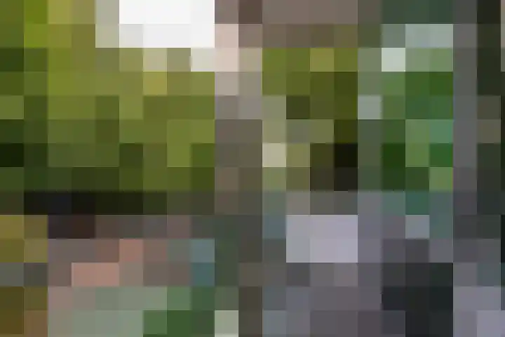 Hoge Naarderweg 51 Hilversum thumbnail 11