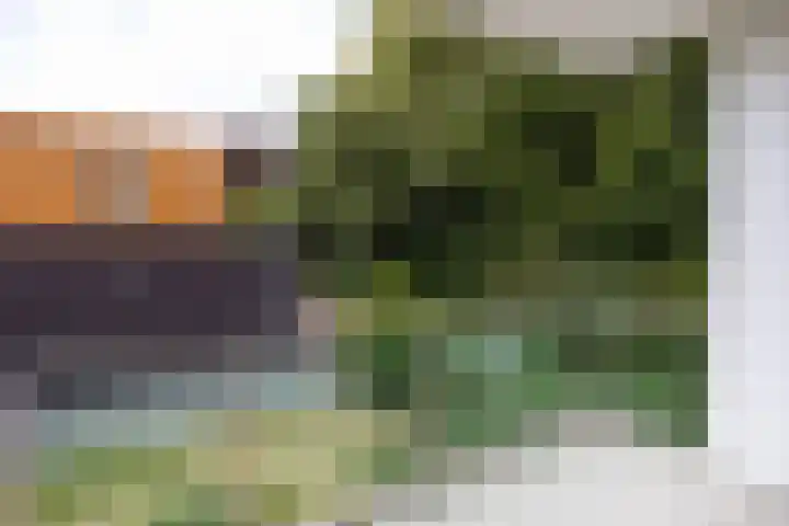 Hoge Naarderweg 51 Hilversum thumbnail 15