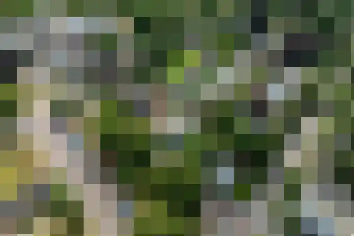 Hoge Naarderweg 51 Hilversum thumbnail 29