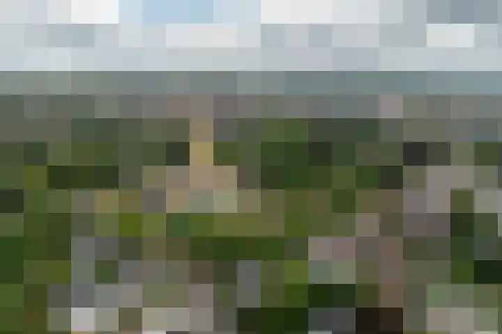 Hoge Naarderweg 51 Hilversum thumbnail 30