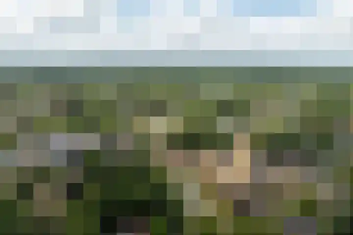 Hoge Naarderweg 51 Hilversum thumbnail 31