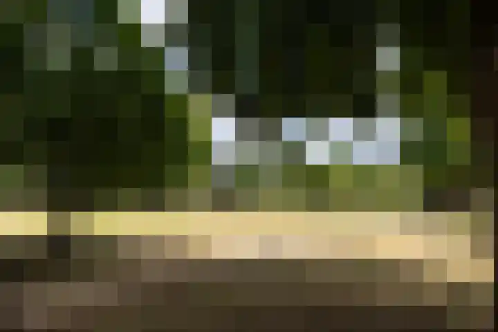 Hoge Naarderweg 51 Hilversum thumbnail 32
