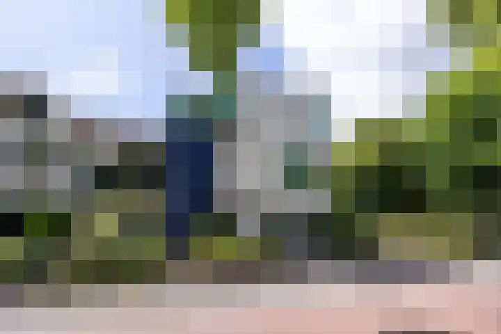 Hoge Naarderweg 51 Hilversum thumbnail 4