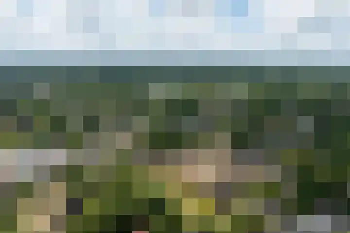 Hoge Naarderweg 53 Hilversum thumbnail 33