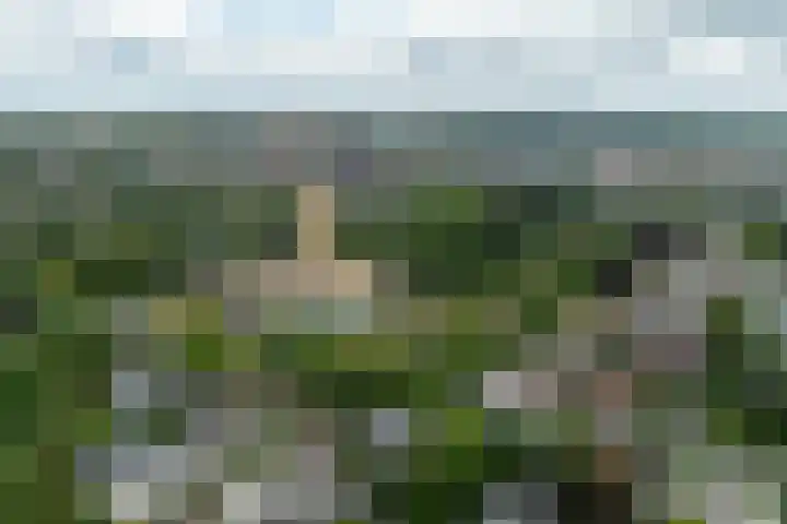 Hoge Naarderweg 53 Hilversum thumbnail 35