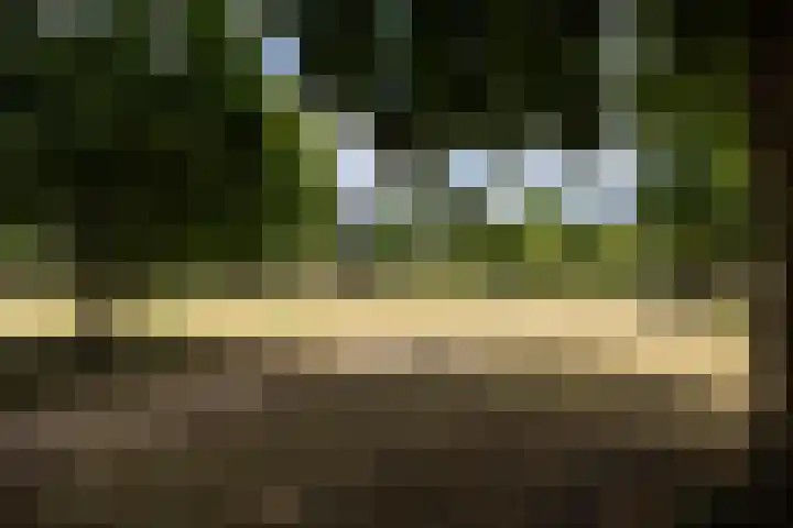 Hoge Naarderweg 53 Hilversum thumbnail 36