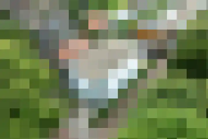 Hoge Naarderweg 53 Hilversum thumbnail 4