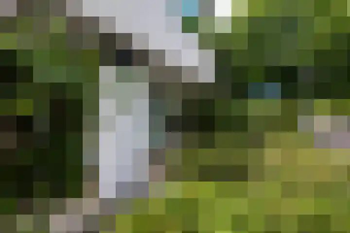 Hoge Naarderweg 53 Hilversum thumbnail 5