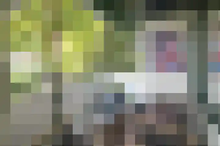 Hoge Naarderweg 91 2 Hilversum thumbnail 17