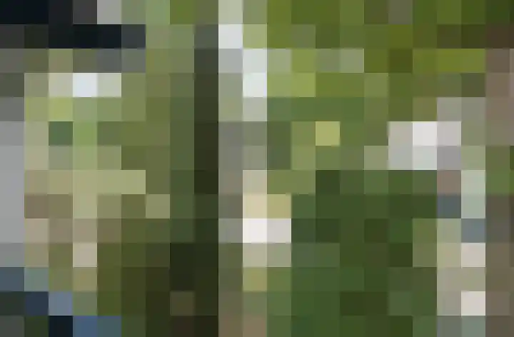 Hoge Naarderweg 91 2 Hilversum thumbnail 19