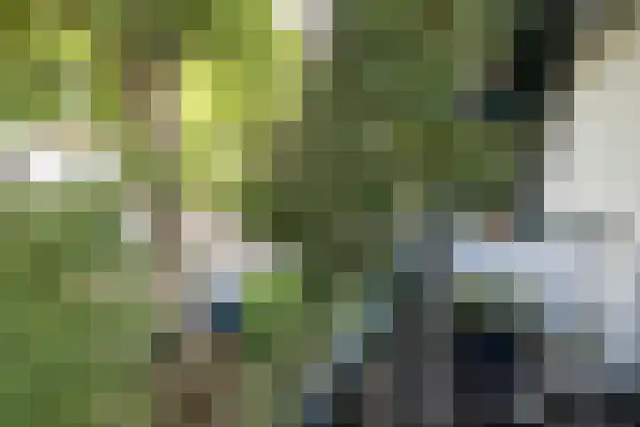 Hoge Naarderweg 91 2 Hilversum thumbnail 20