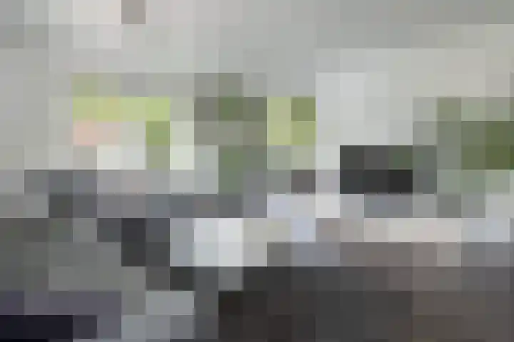 Hoge Naarderweg 91 2 Hilversum thumbnail 4