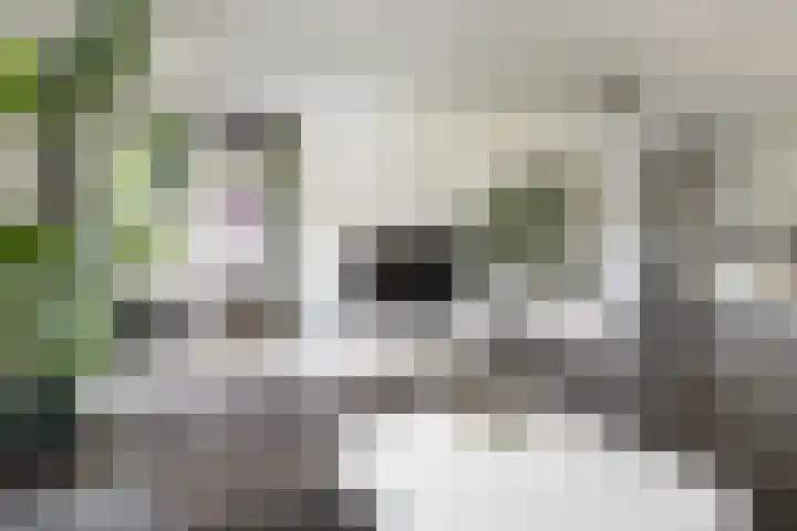 Hoge Naarderweg 91 2 Hilversum thumbnail 5