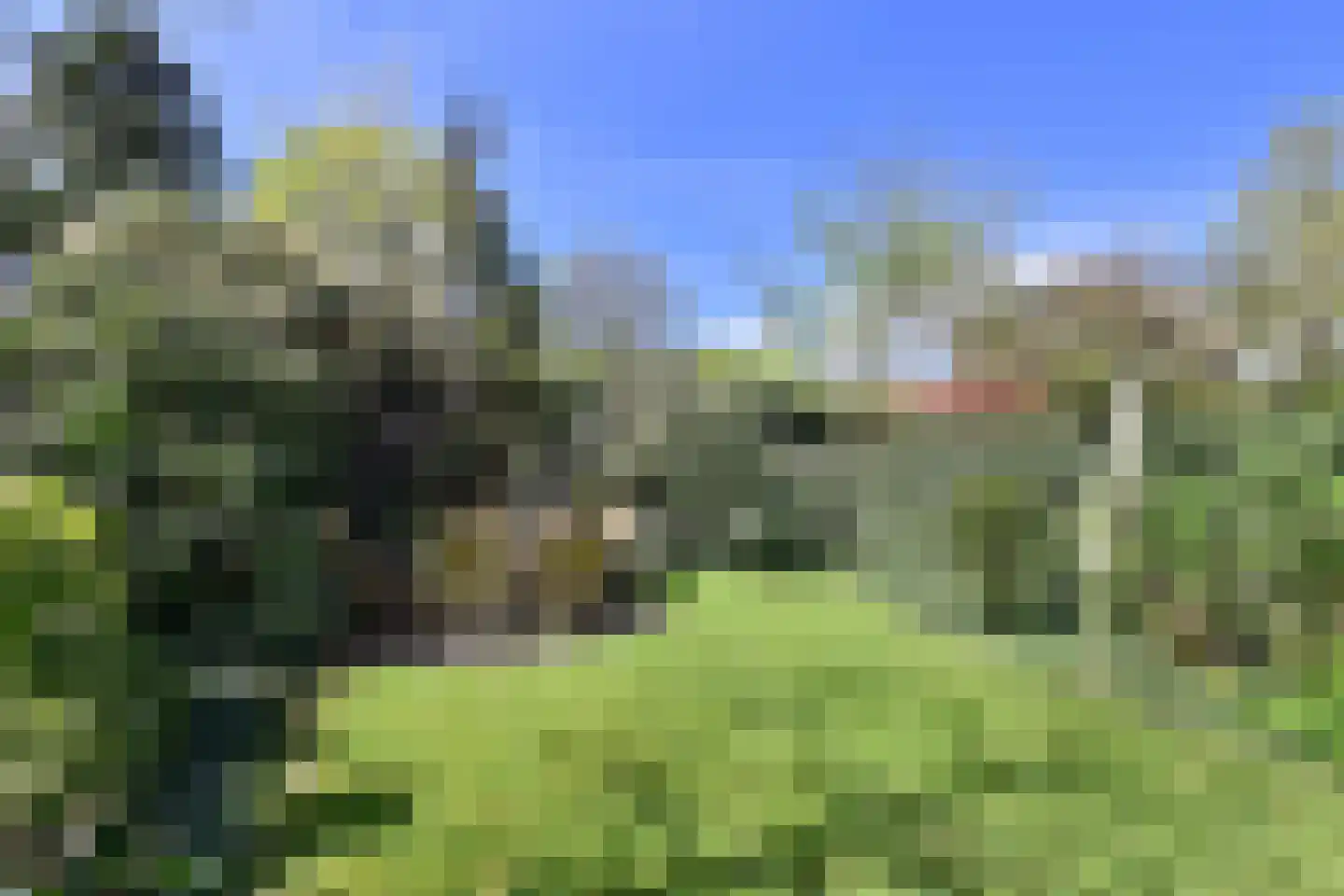 Hoge Naarderweg 93 Hilversum thumbnail 9