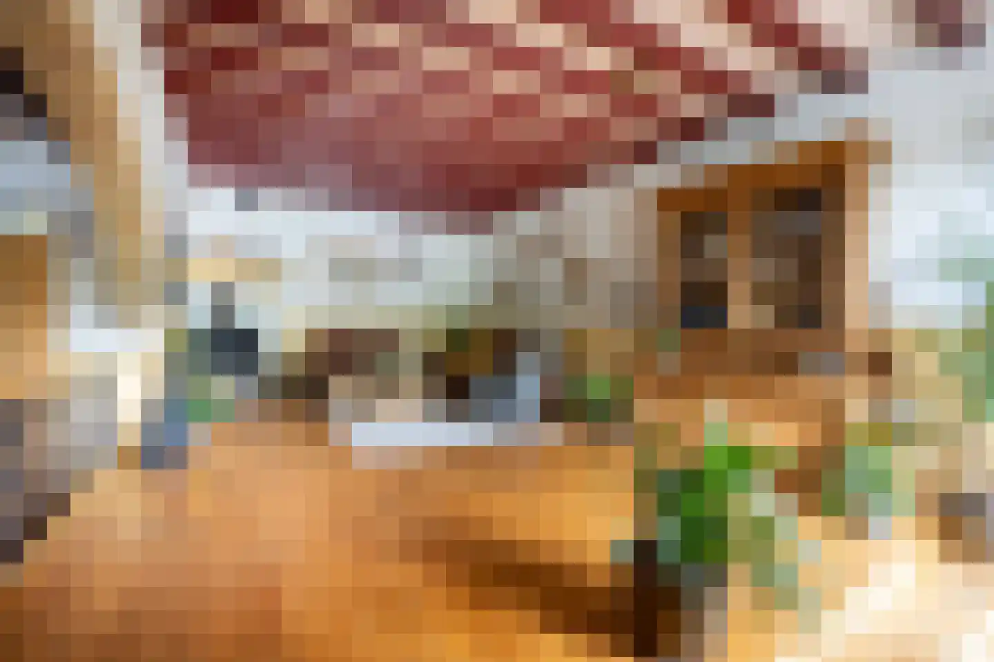 Hoge Neerstraat 15 Etten-Leur thumbnail 13