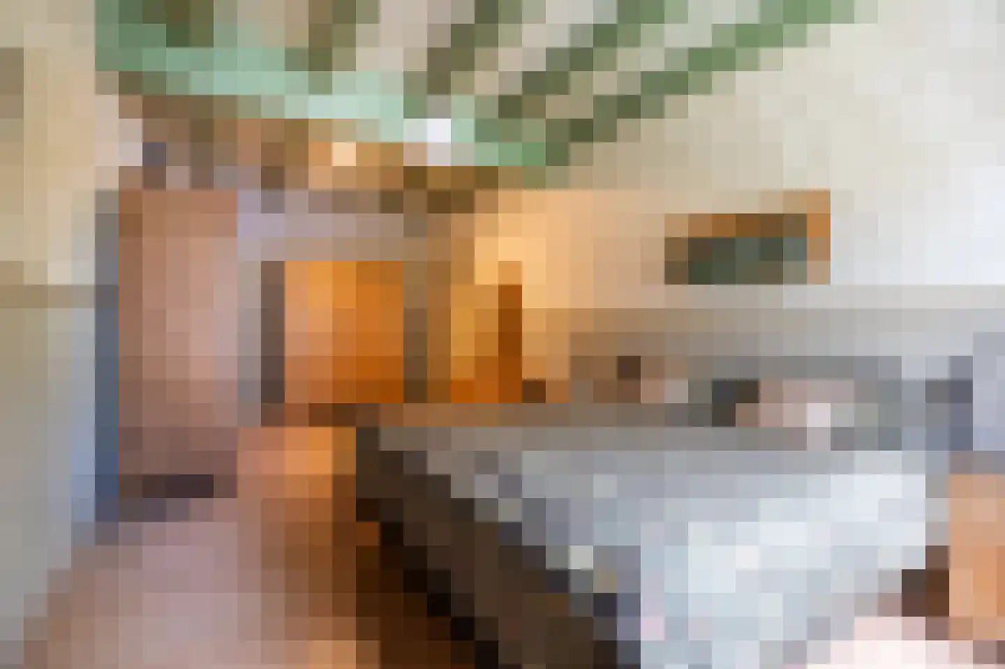 Hoge Neerstraat 15 Etten-Leur thumbnail 25
