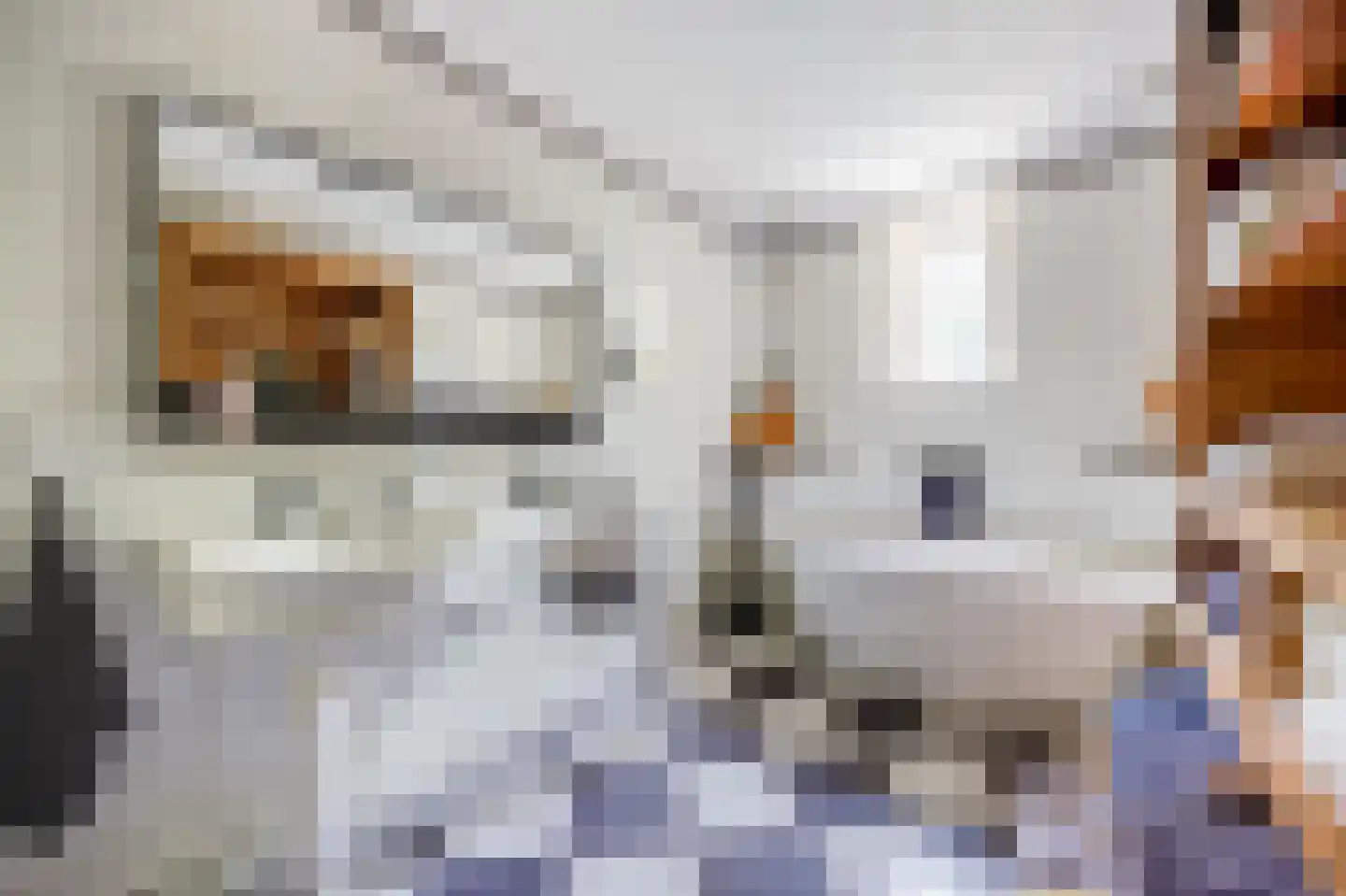Hoge Neerstraat 15 Etten-Leur thumbnail 26