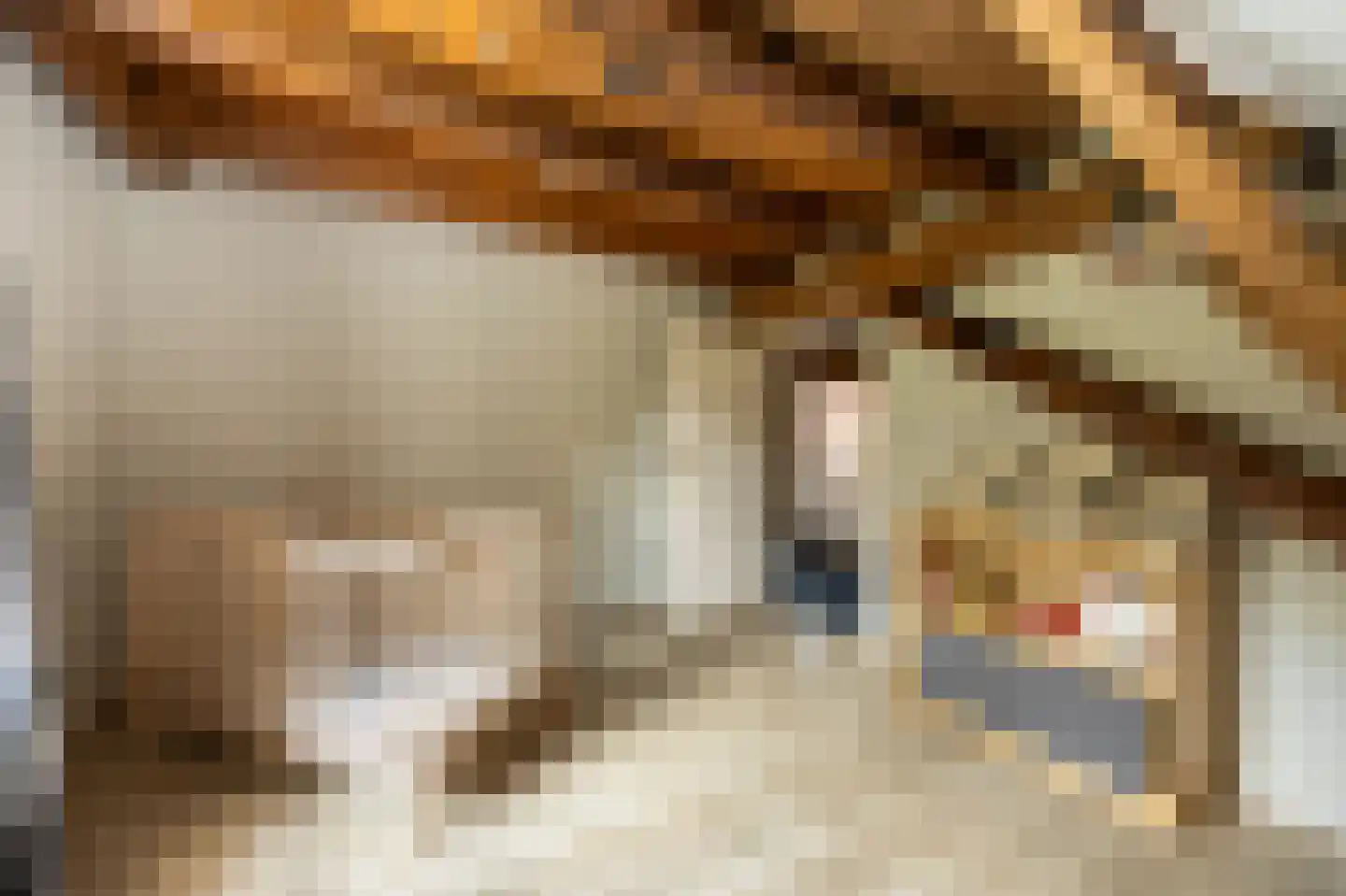 Hoge Neerstraat 15 Etten-Leur thumbnail 37