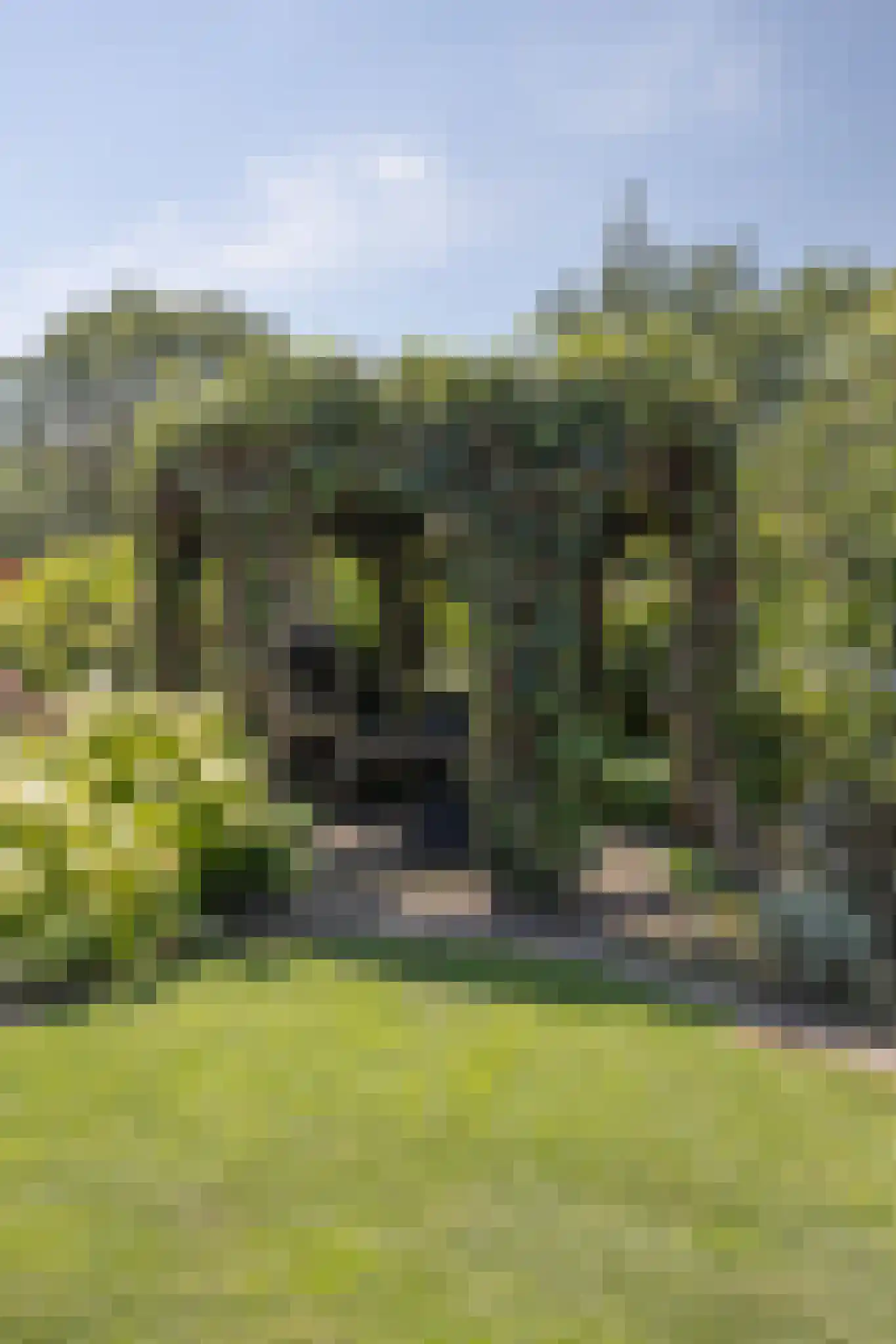 Hoge Neerstraat 15 Etten-Leur thumbnail 75