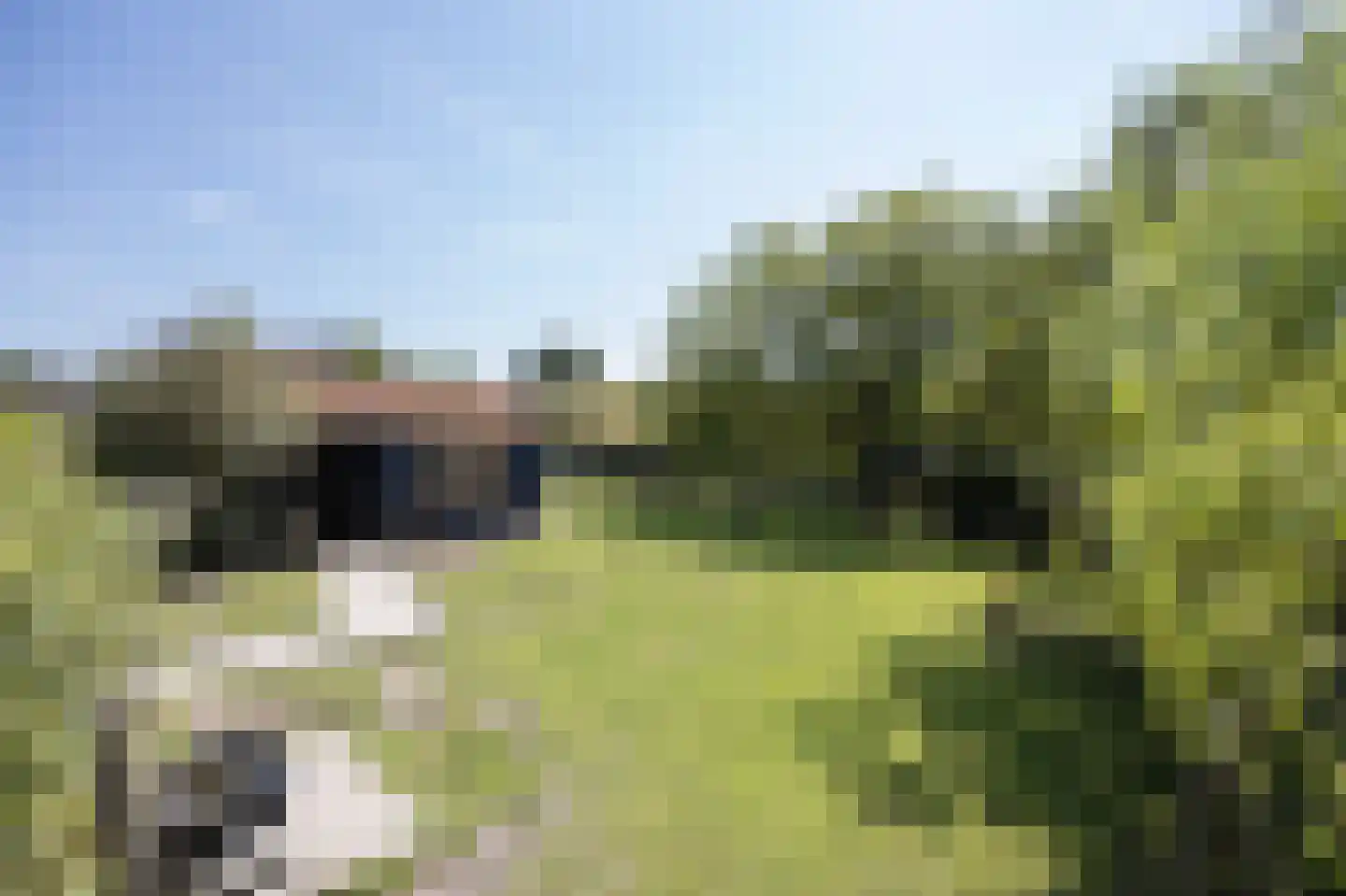 Hoge Neerstraat 15 Etten-Leur thumbnail 89