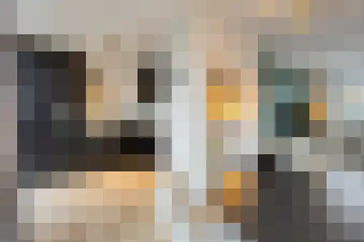 Hoge Nes 12 Heerjansdam thumbnail 10