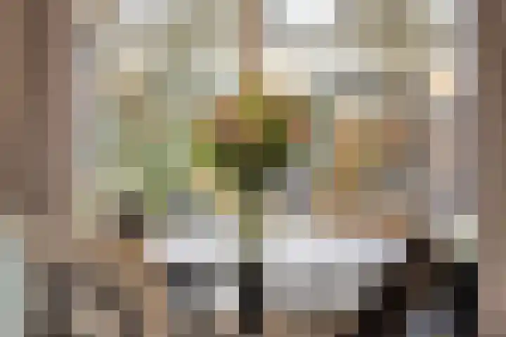 Hoge Nes 12 Heerjansdam thumbnail 11