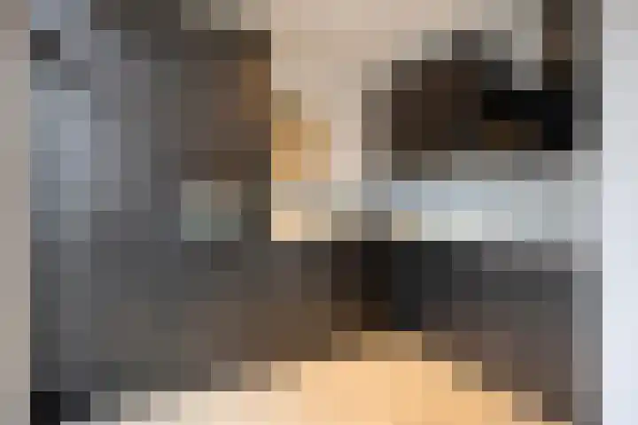 Hoge Nes 12 Heerjansdam thumbnail 13