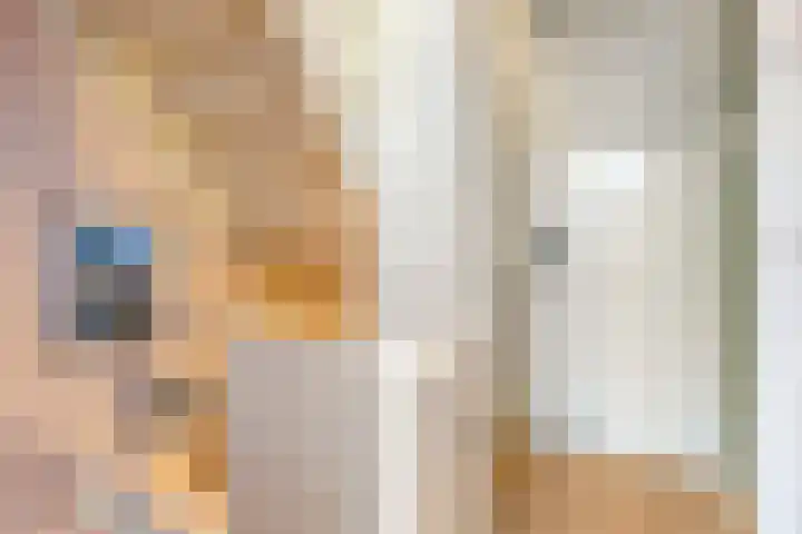 Hoge Nes 12 Heerjansdam thumbnail 16