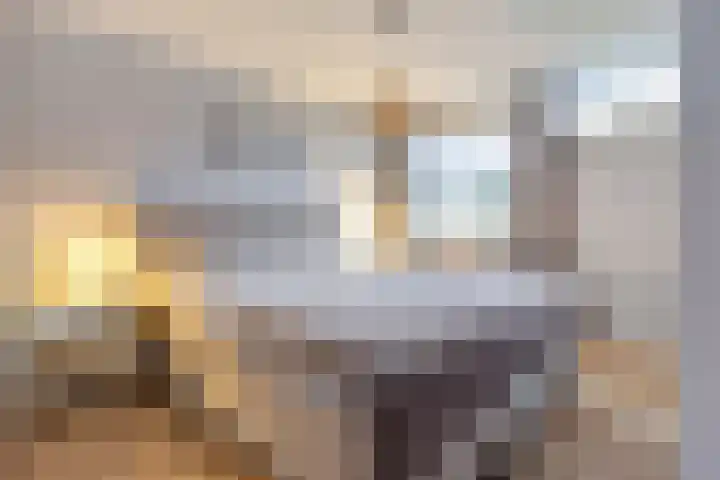 Hoge Nes 12 Heerjansdam thumbnail 17